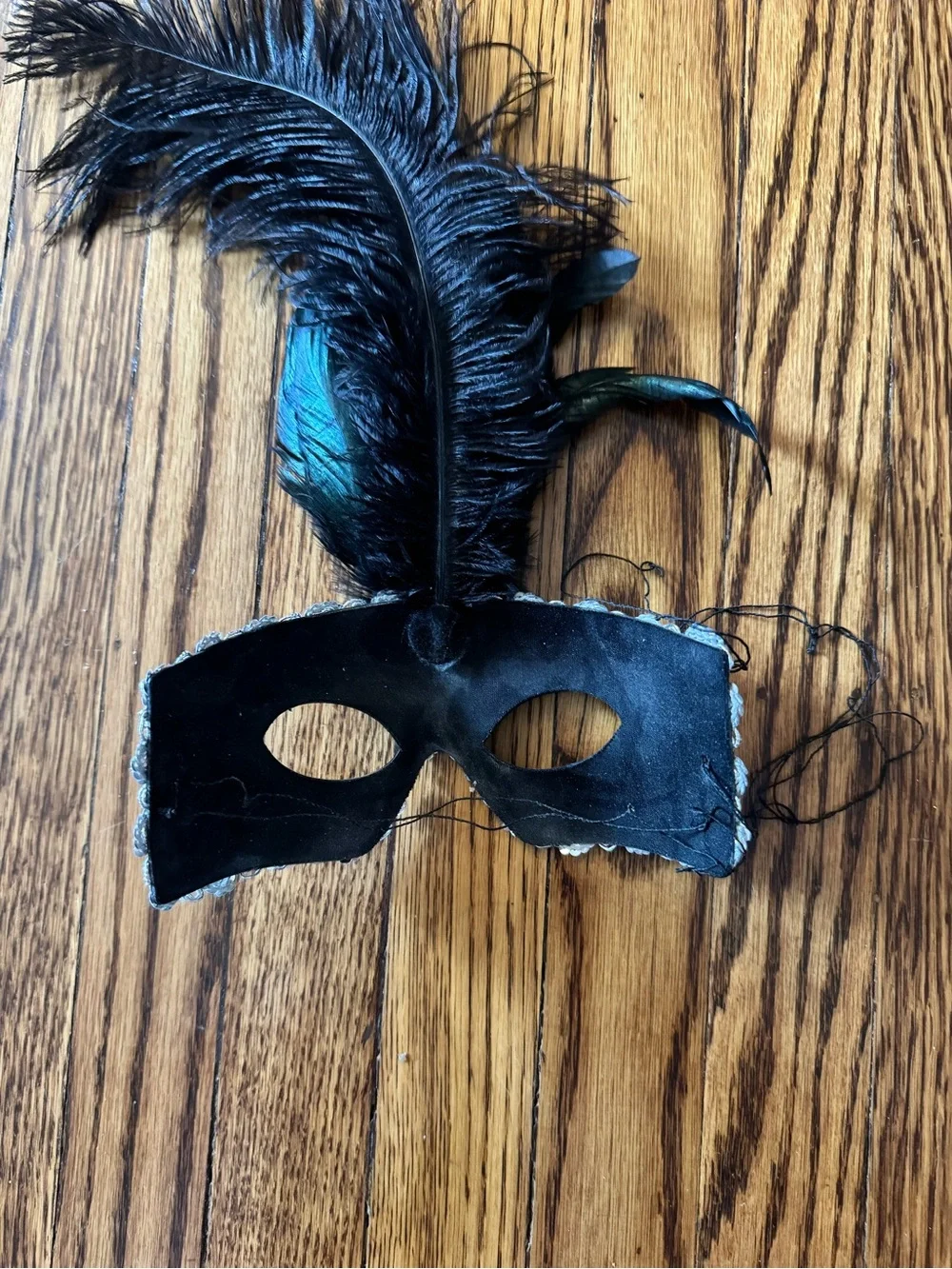 Black Feathered Masquerade Mask with Crystal Accent